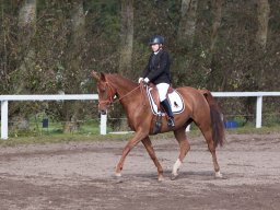 IMG_7850_web